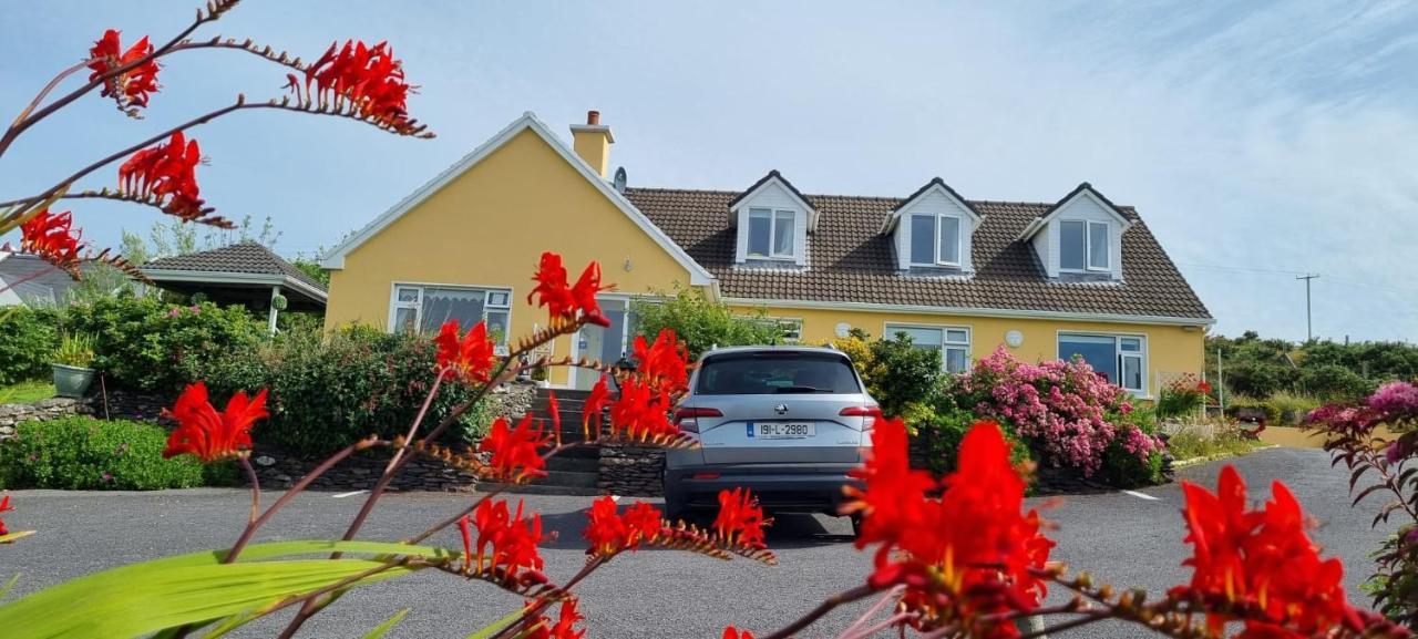 The Plough B&B Ventry Exterior foto