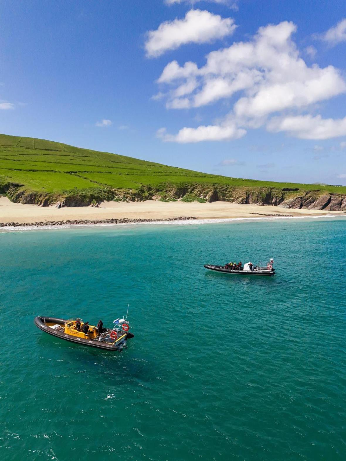 The Plough B&B Ventry Exterior foto